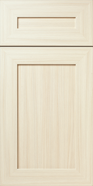 S901 KEEN cabinet door with two recessed panels.