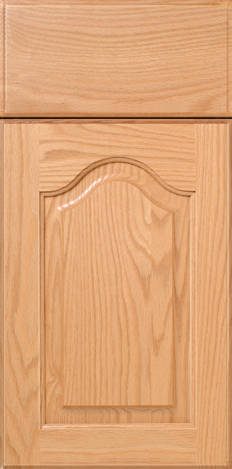 Close-up view of a S198 LA CROSSE cabinet door with a raised panel design.