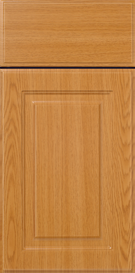 S313 HENDERSON cabinet door with a raised panel design.