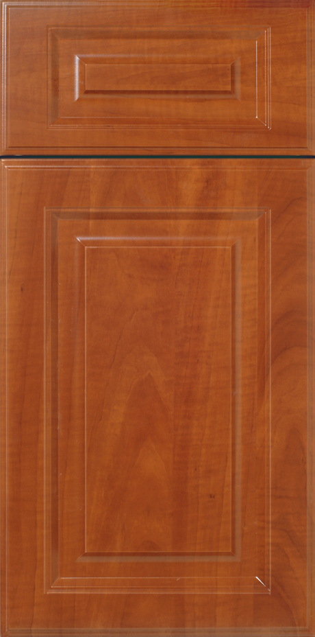 Polished S304 FONTANA cabinet door with a raised panel design.