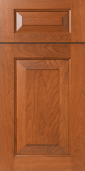 Close-up of a S151 CARTER wooden cabinet door with raised panel design.