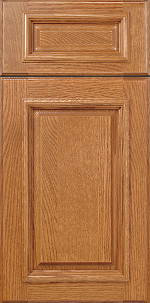 Close-up of a S172 CARLTON cabinet door with a raised panel design.