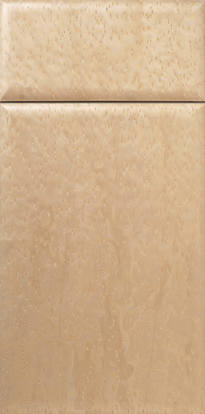 S529 DWELLING ceramic tile with water droplets and a soap dish tray.