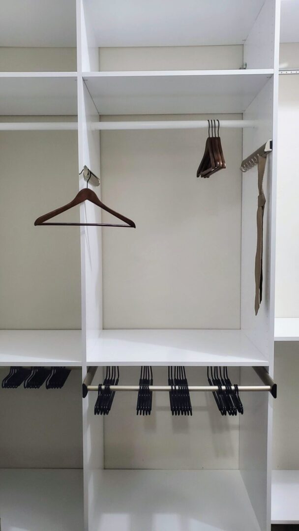 Empty closet furnished with a single wooden hanger and several clip hangers, showcasing exceptional custom furnishing.